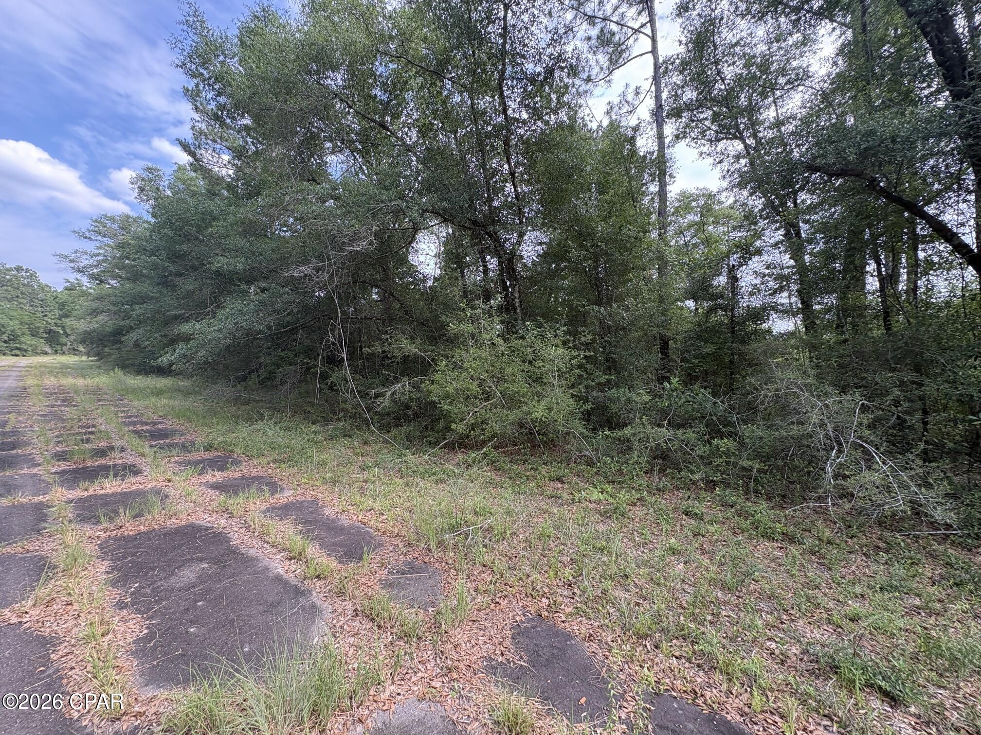 2nd image of Lot 38 Birchwood Dr, Chipley, FL 32428 | MLS# 794582