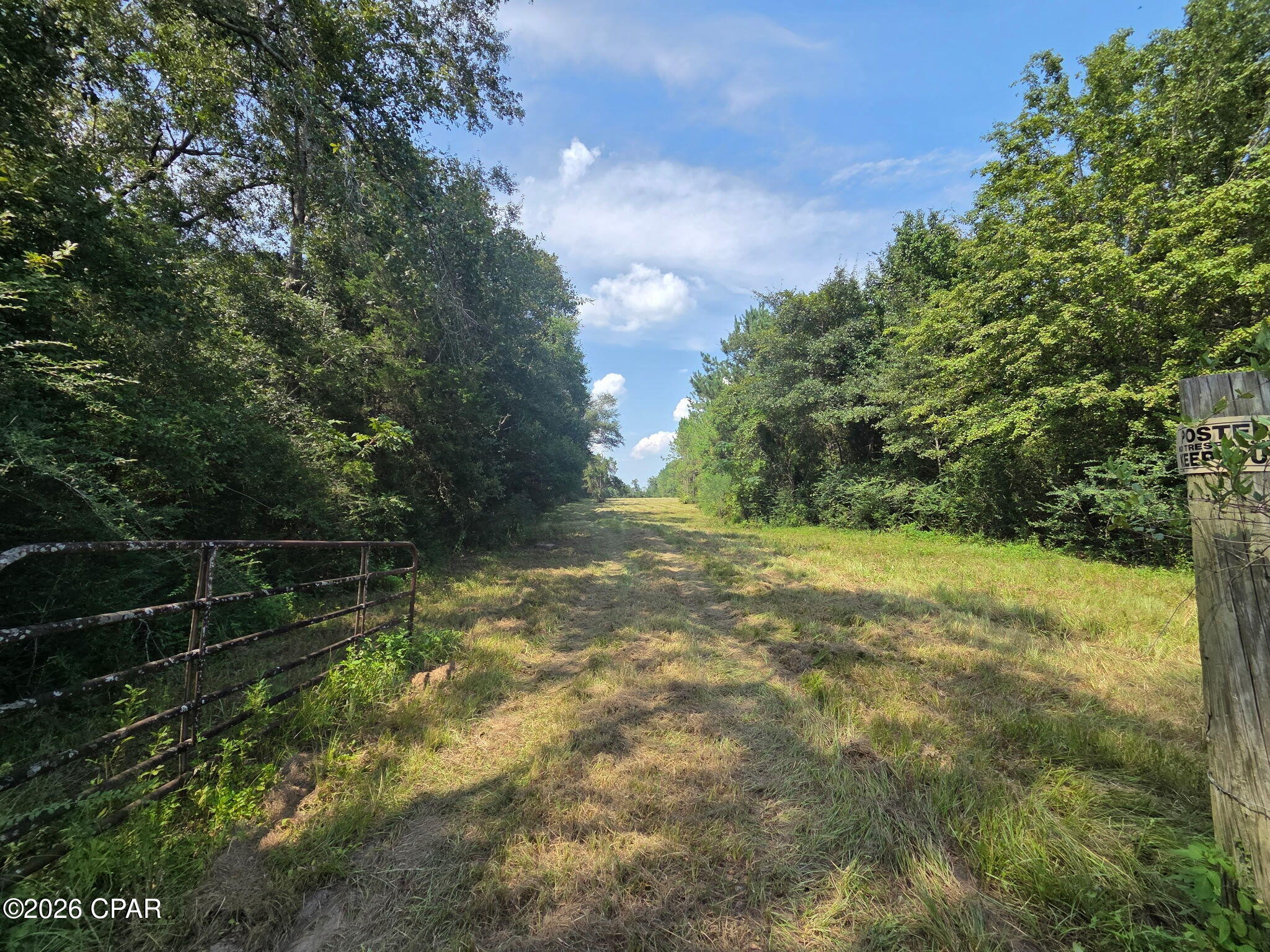 2nd image of Tbd Poplar Head Rd, Bonifay, FL 32425 | MLS# 794697