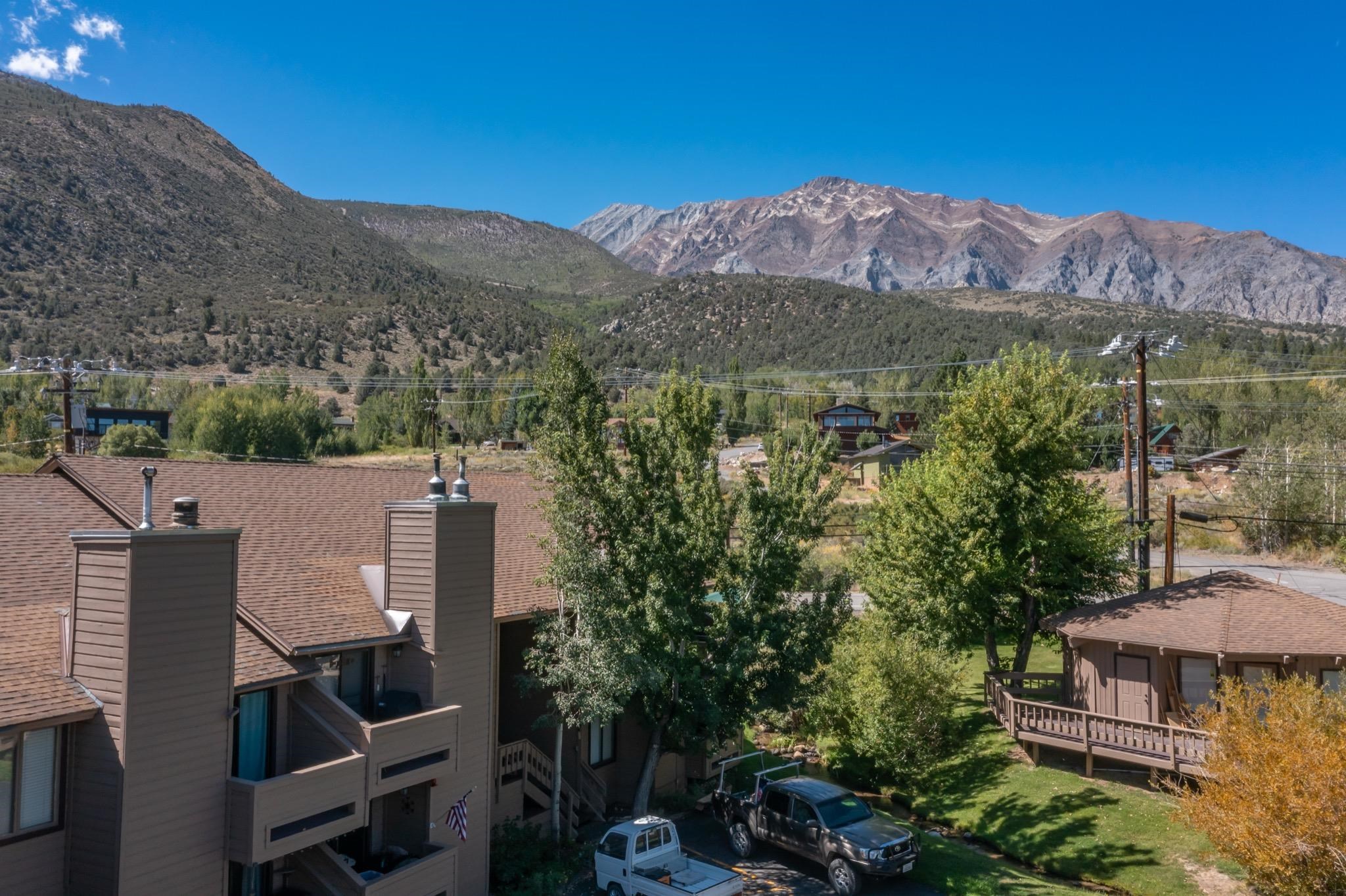 48 Aspen Terrace #12 12