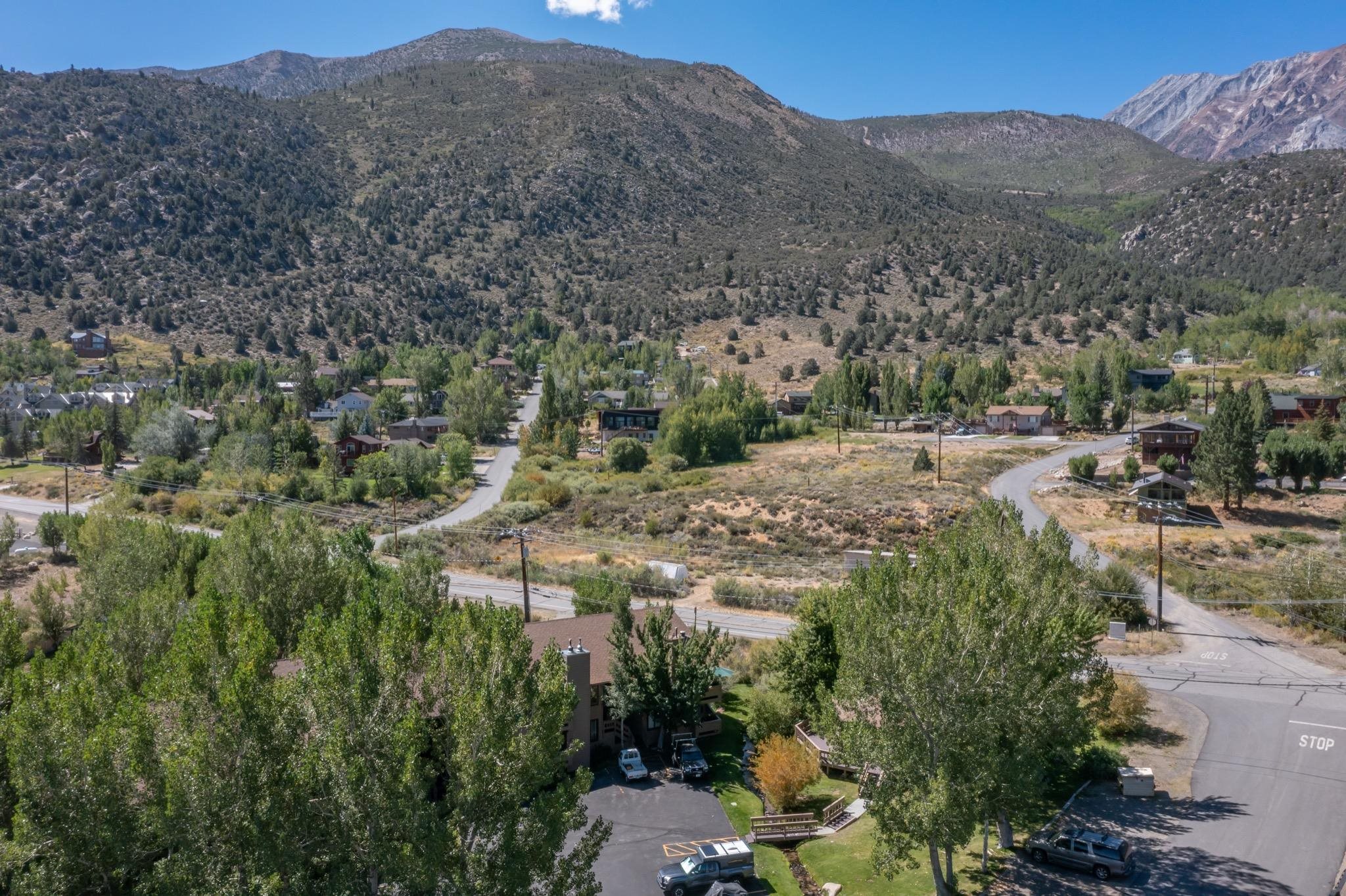 48 Aspen Terrace #12 12