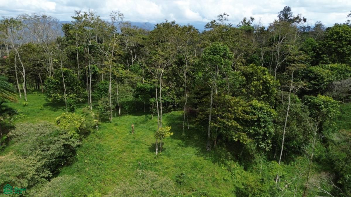0 bed Land For Sale in Turrialba, Cartago - 1
