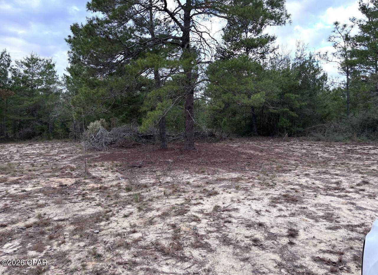 1st image of 00 Fairhaven Dr #Lot 10, Chipley, FL 32428 | MLS# 794775