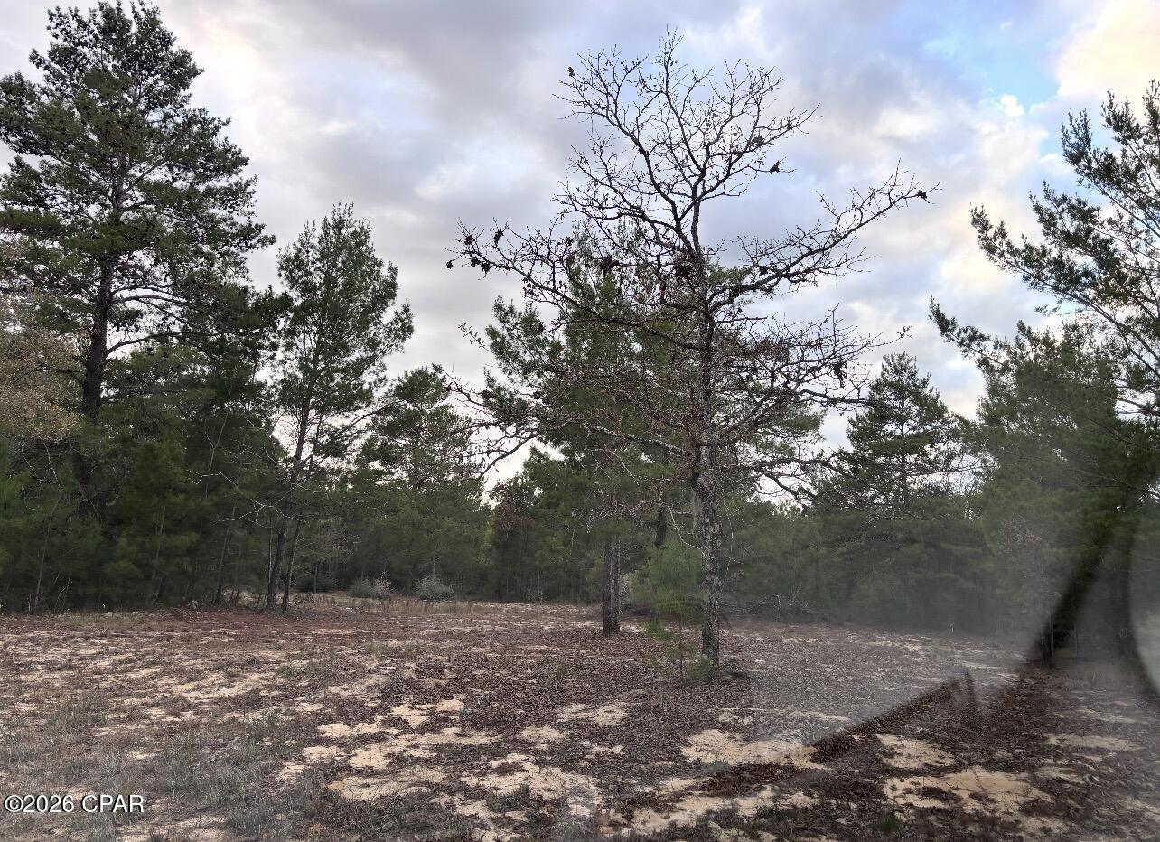 3rd image of 0 Fairhaven Lot 9 Dr, Chipley, FL 32428 | MLS# 794776