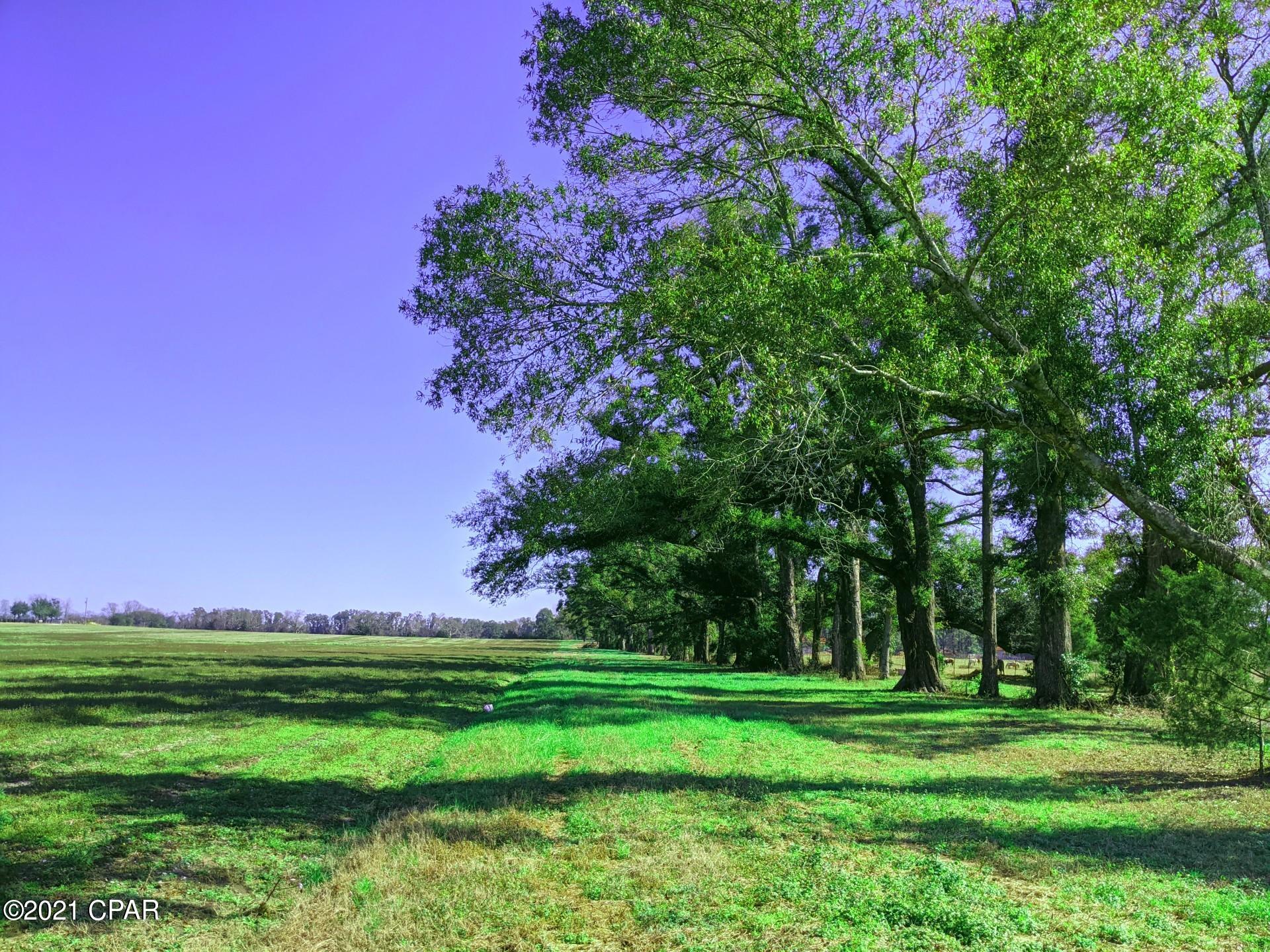 4th image of 0 Chestnut Ln, Greenwood, FL 32443 | MLS# 794823