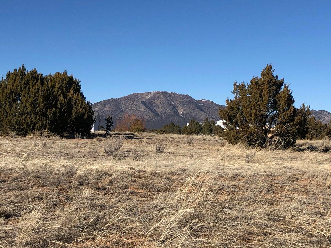 Photo 1 of Land for sale at 23 Joe Mae Rd, Edgewood, NM 87015 | MLS# 1110181 | Listing updated on 2026-10-01