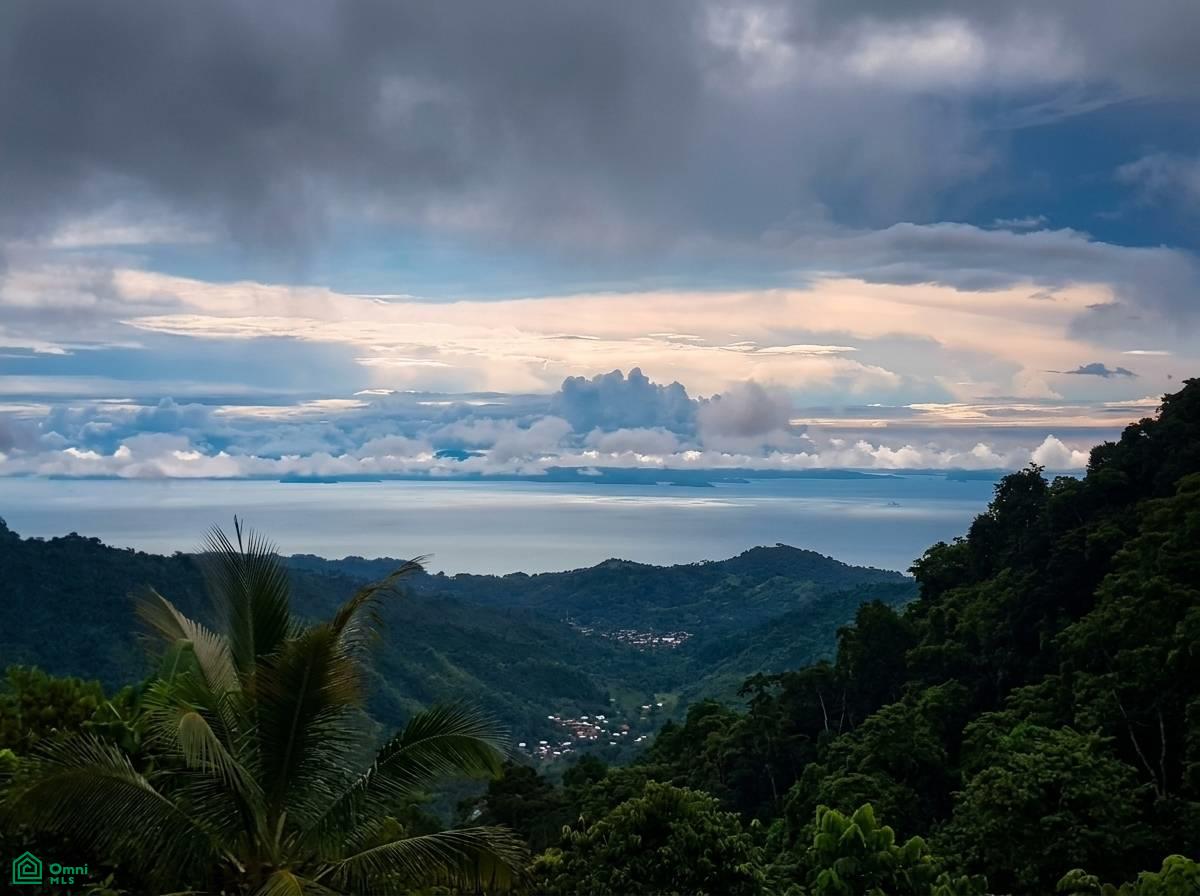 0 bed Land For Sale in Turubares, San Jose - 1