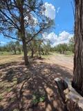 Photo 1 of Single family home for sale at 3 Deer Run Trl, Pie Town, NM 87827 | MLS# 1110373 | Listing updated on 2026-09-08