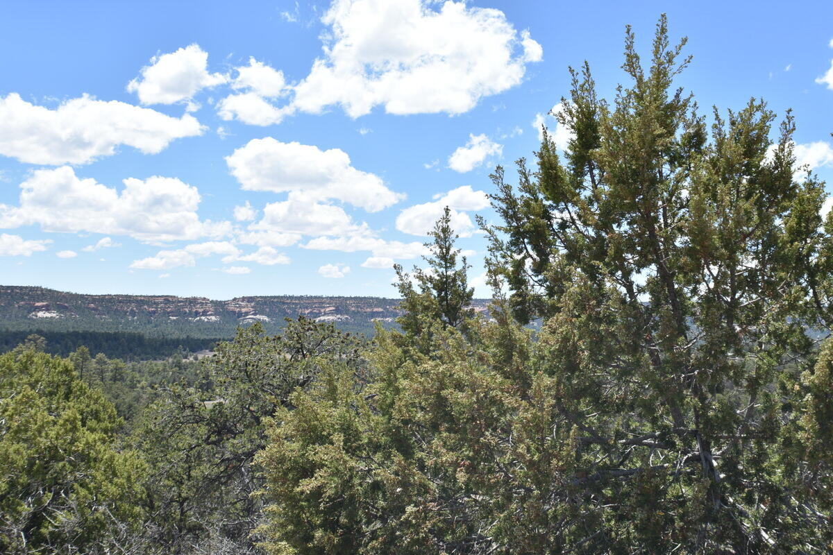 Photo 2 of Land for sale at Lot 20 Sunflower Dr, Ramah, NM 87321 | MLS# 1110437 | Listing updated on 2026-09-04