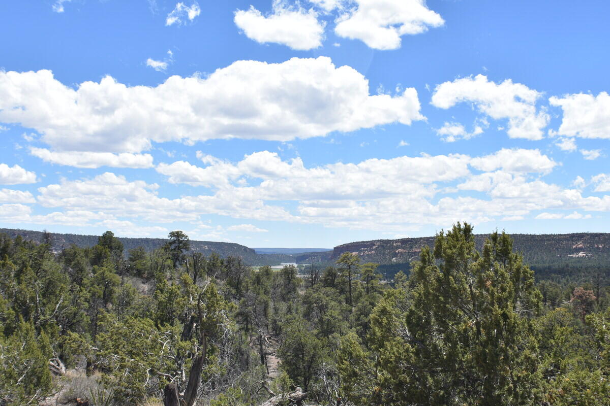 Photo 4 of Land for sale at Lot 20 Sunflower Dr, Ramah, NM 87321 | MLS# 1110437 | Listing updated on 2026-09-04