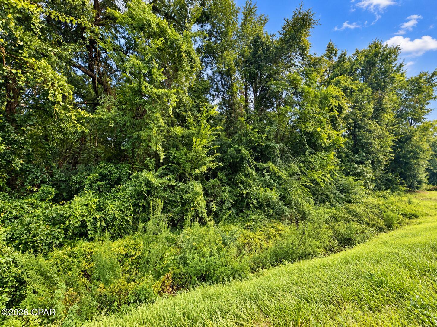 Photo 2 of Sale Pending at 0 Highway 162 Rd, Marianna, FL 32446 | MLS# 795079 | Listing updated on 2026-09-21