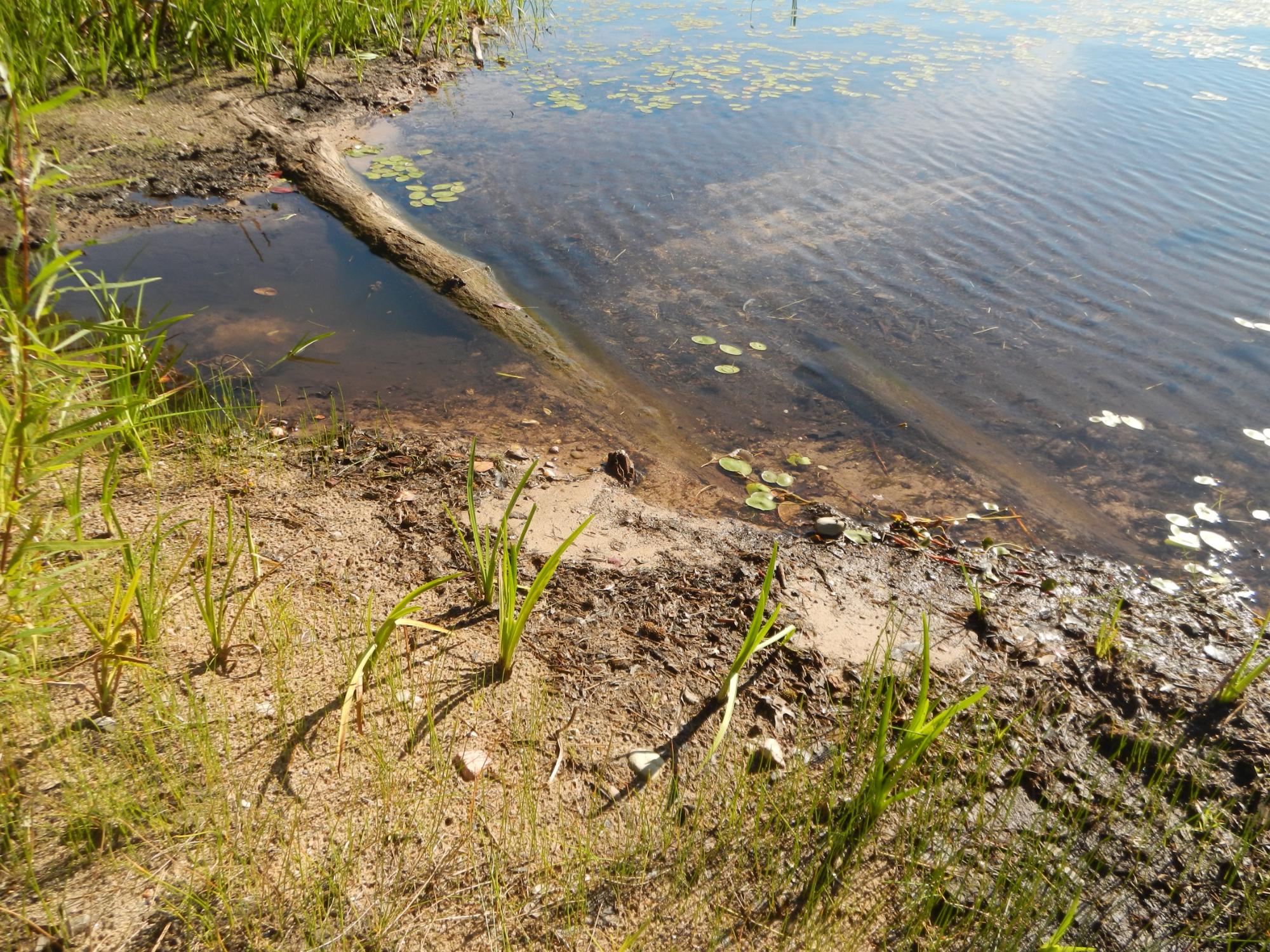 Squash Lake Property 7373 Hwy 8 Photo 16