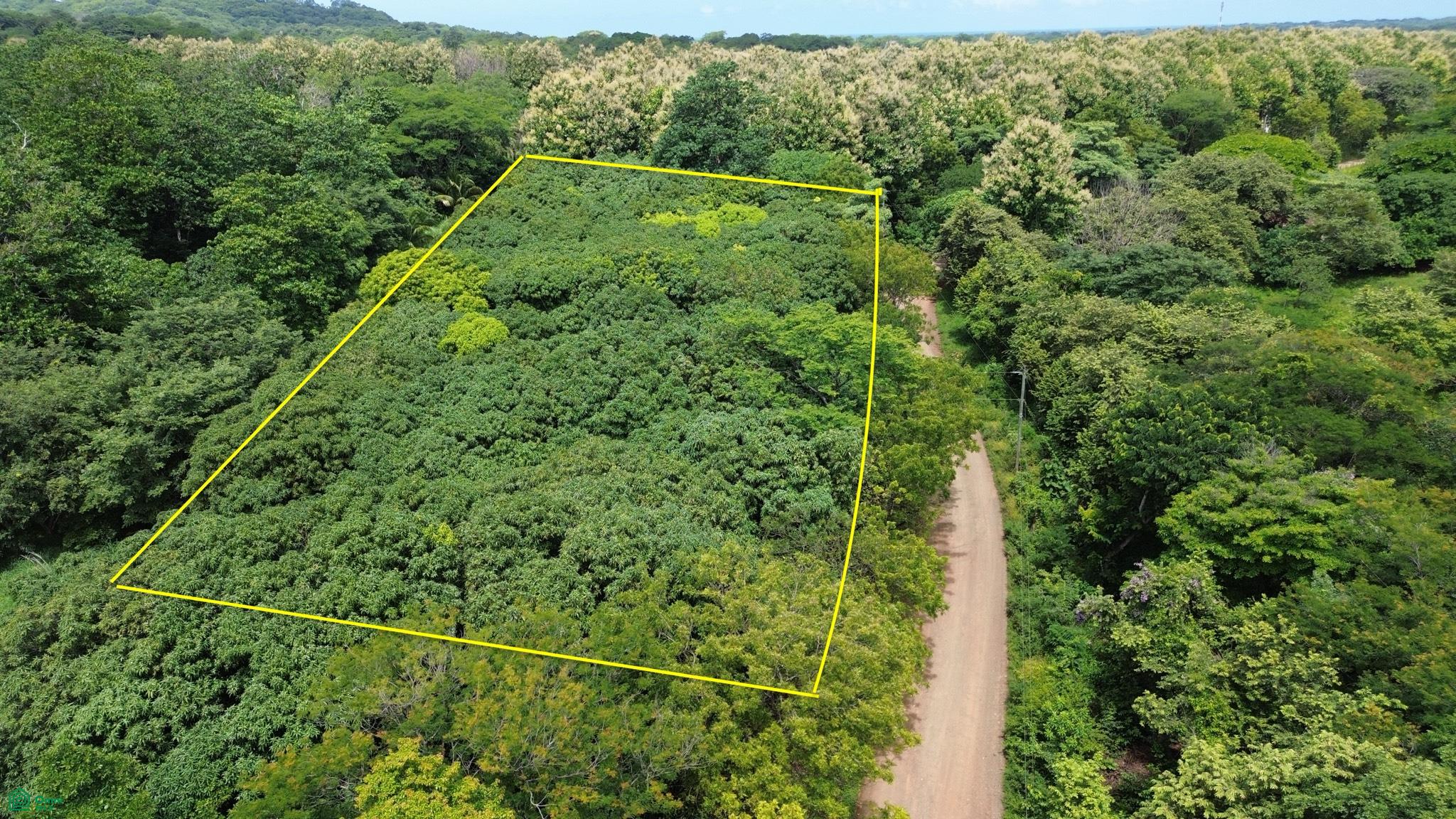  bed Land For Sale in Veinticiete de Abril, Guanacaste - 1