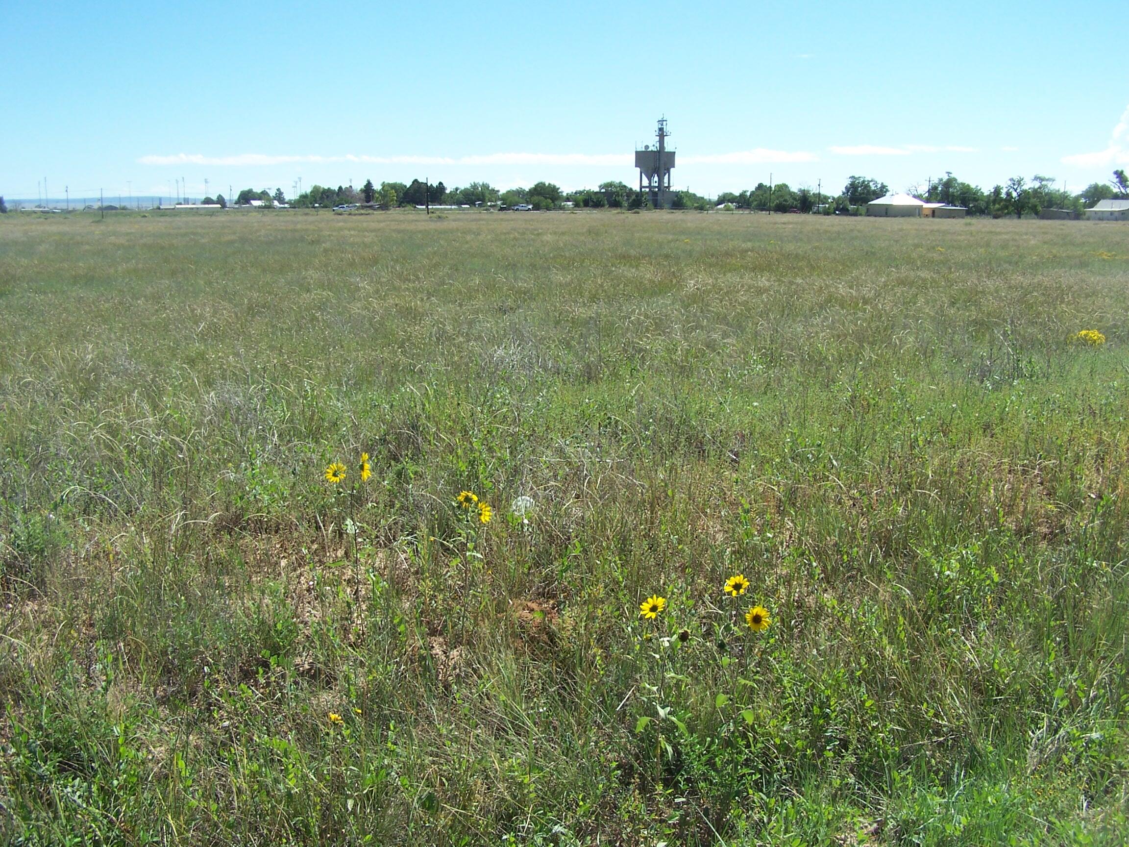 Photo 1 of Sale Pending at 8th St/amelia E, Moriarty, NM 87035 | MLS# 1110631 | Listing updated on 2026-09-18