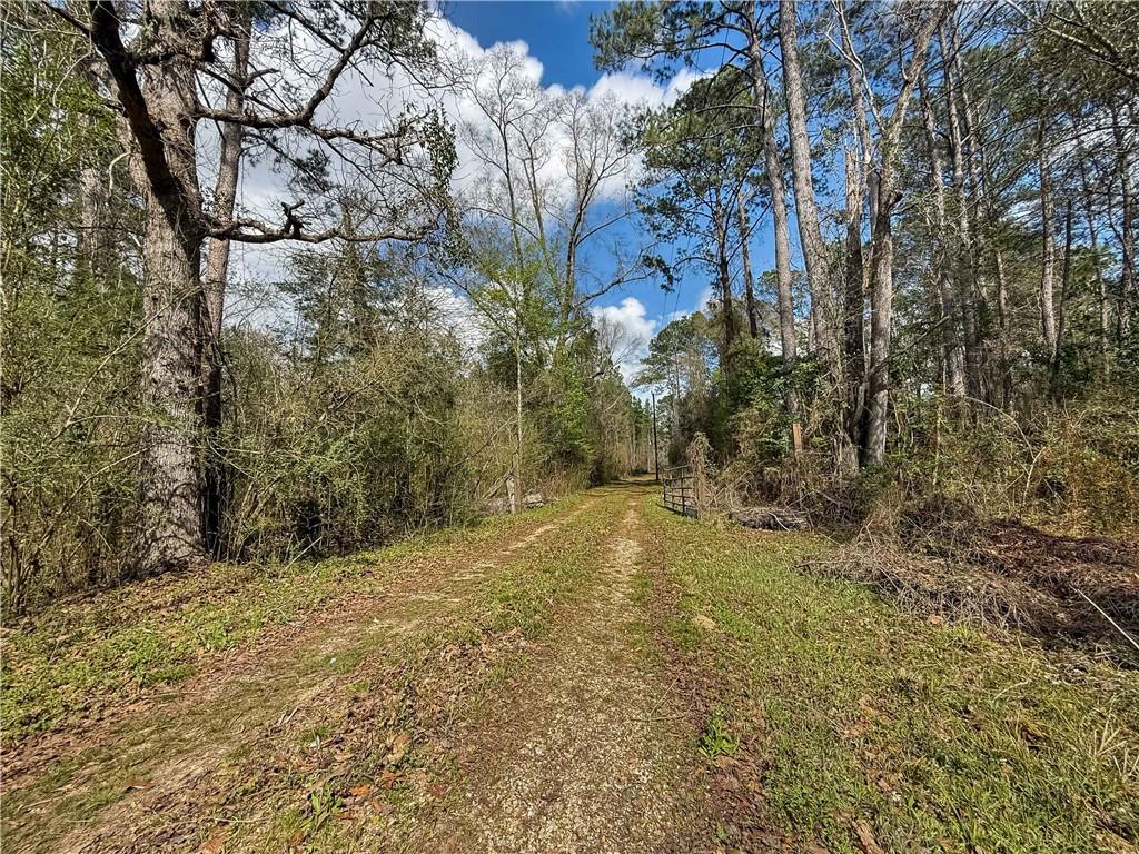 Photo 3 of Single family home for sale at 66350 Highway 1058, Roseland, LA 70456 | MLS# 2576504 | Listing updated on 2026-09-10