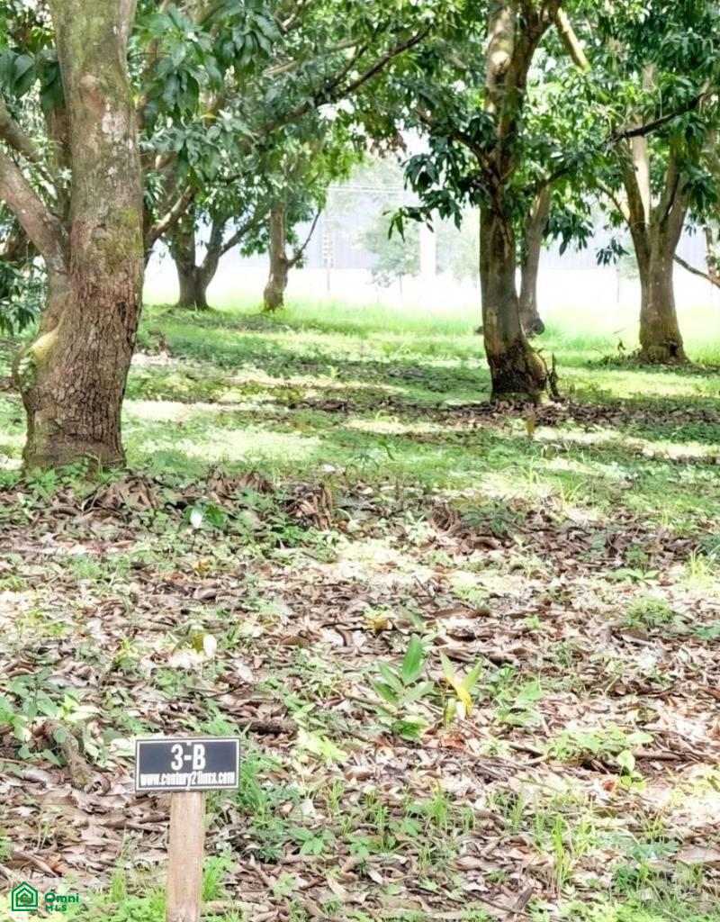 0 bed Land For Sale in Orotina, Alajuela - 1