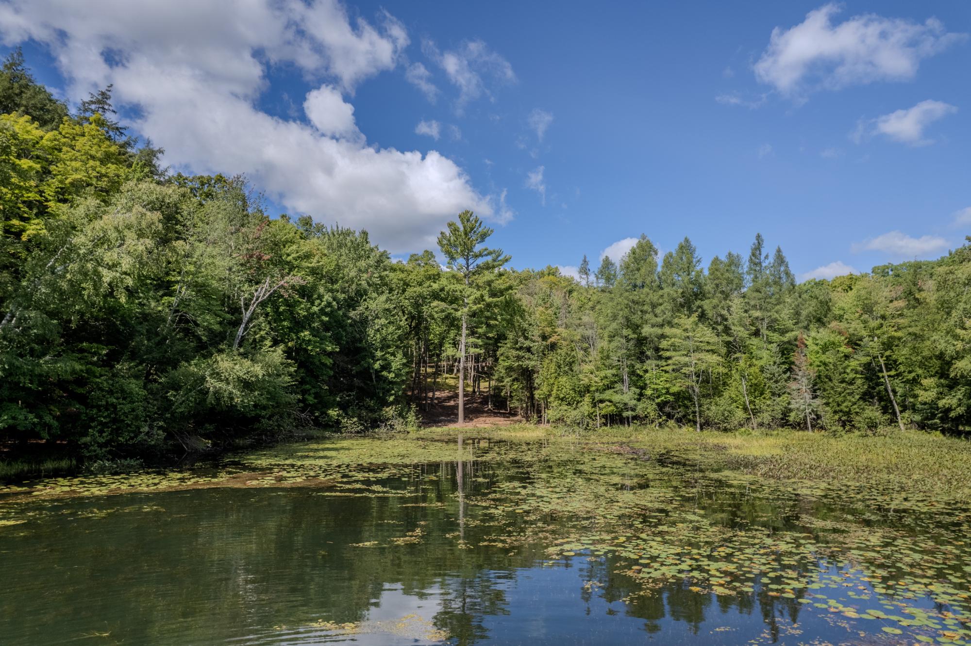 East Horsehead Lake Property 4772 Jimmy Ln Photo 10
