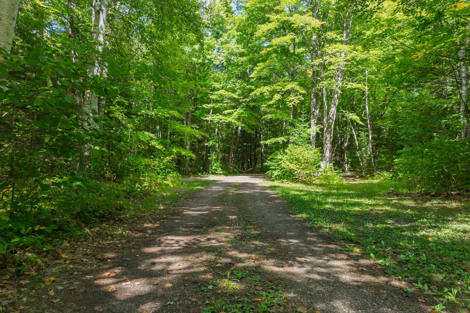 Amber Lake Property 1187 Loon Ln Photo 21