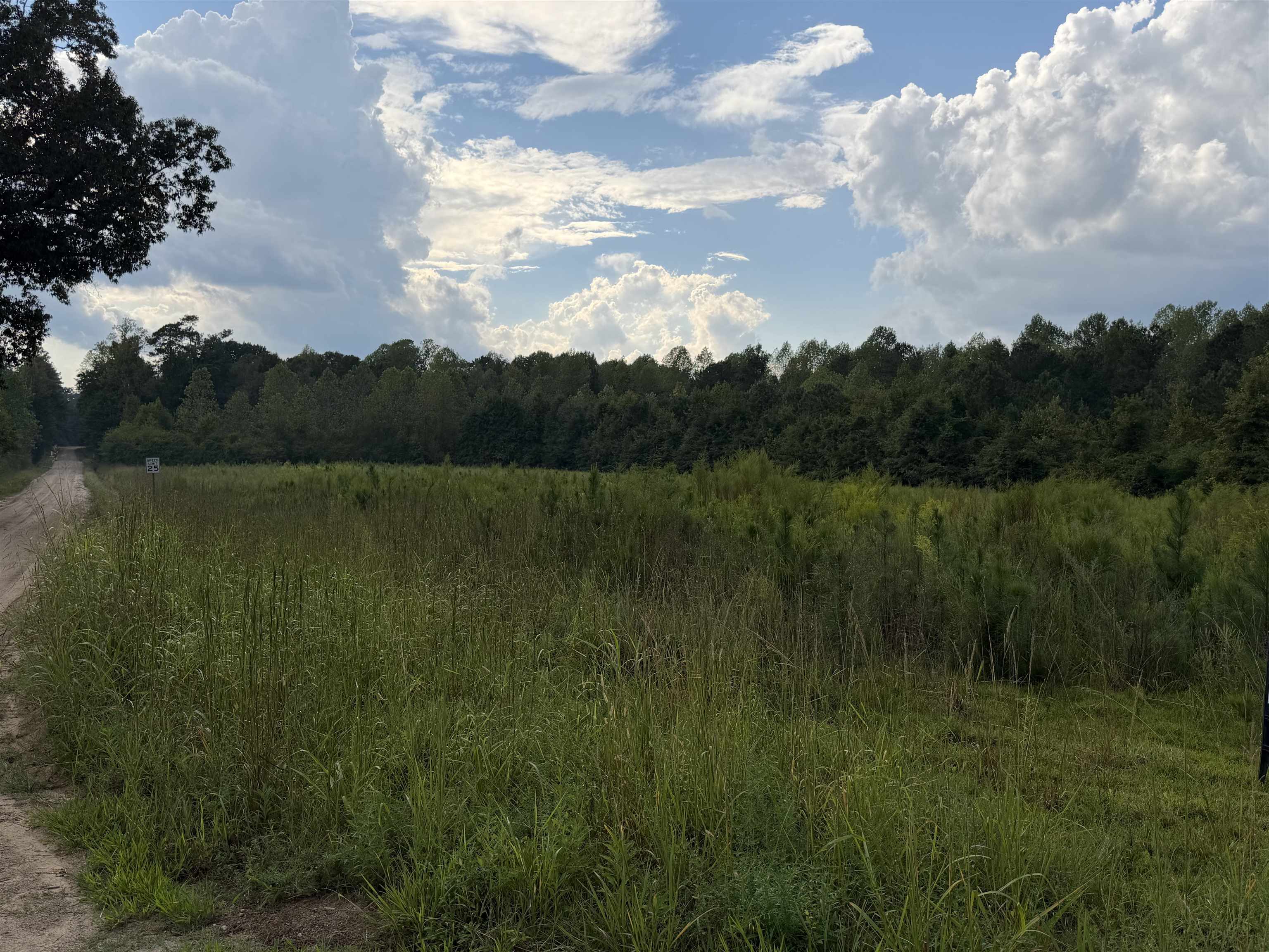 Photo 3 of Land for sale at Tbd Womack Rd, Nichols, SC 29581 | MLS# 2622685 | Listing updated on 2026-09-27