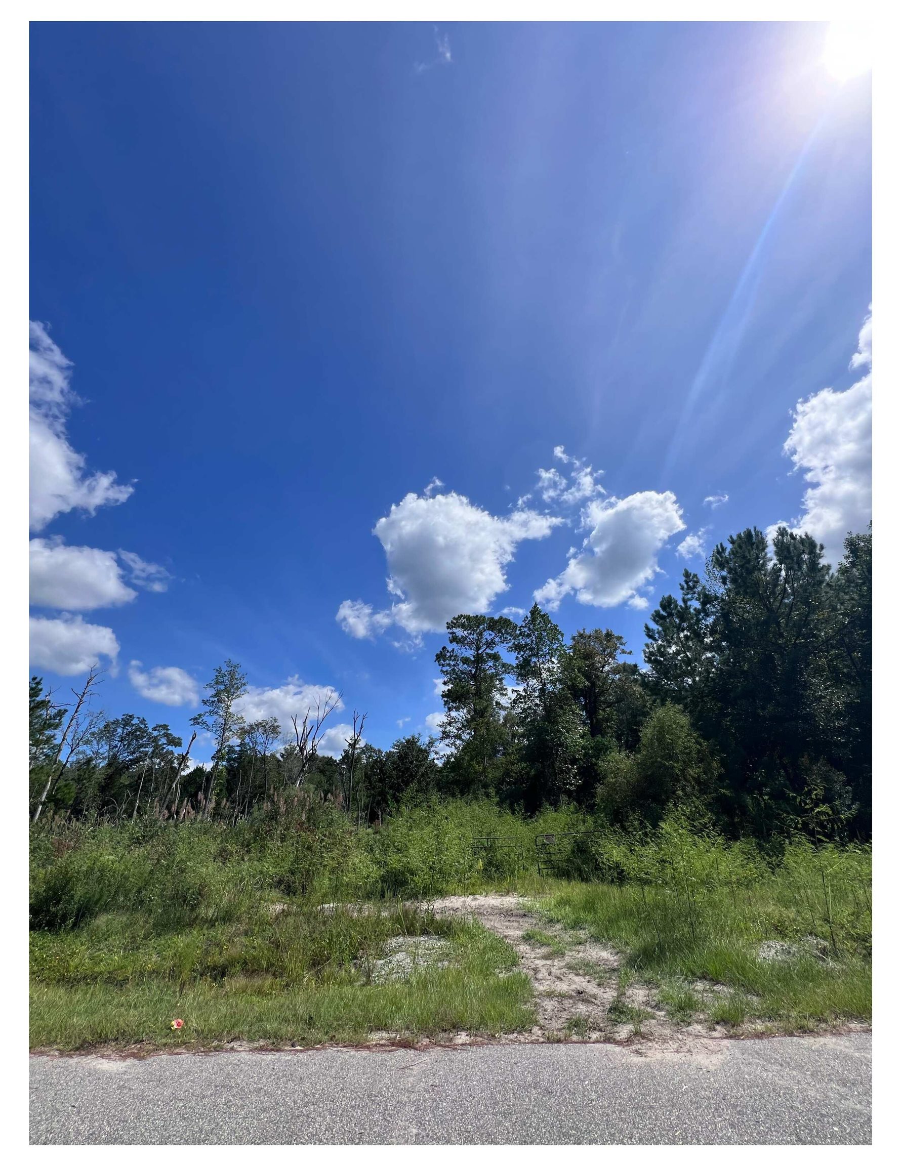 Photo 1 of Sale Pending at 1223 Rainbow Dr, Loris, SC 29569 | MLS# 2623007 | Listing updated on 2026-09-29