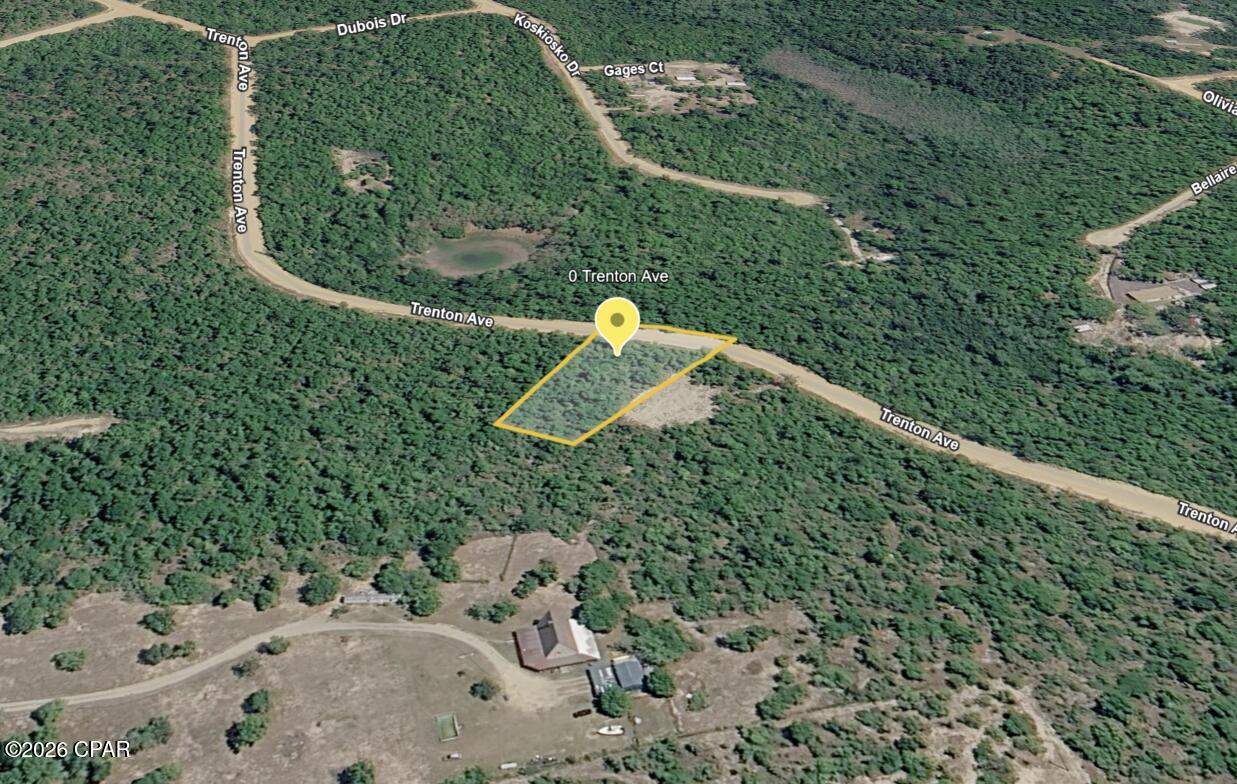 Photo 2 of Land for sale at 0 Trenton Ave, Alford, FL 32420 | MLS# 795630 | Listing updated on 2026-10-15