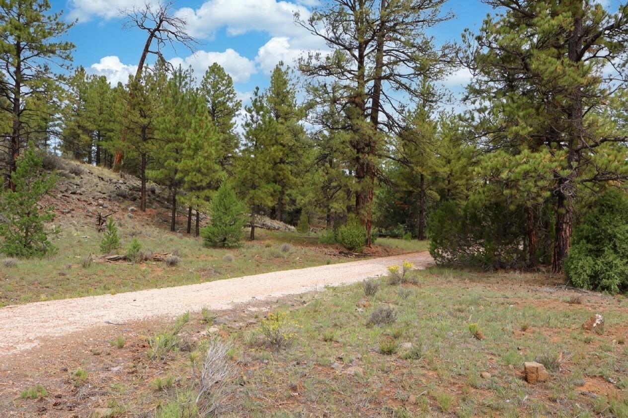 Photo 4 of Land for sale at Lot 44 Rhyolite Rd, Grants, NM 87020 | MLS# 1111279 | Listing updated on 2026-10-27