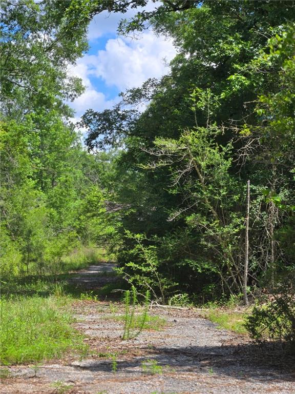 Photo 2 of Land for sale at 21340 N Taylor Rd, Bush, LA 70431 | MLS# 2577504 | Listing updated on 2026-09-28