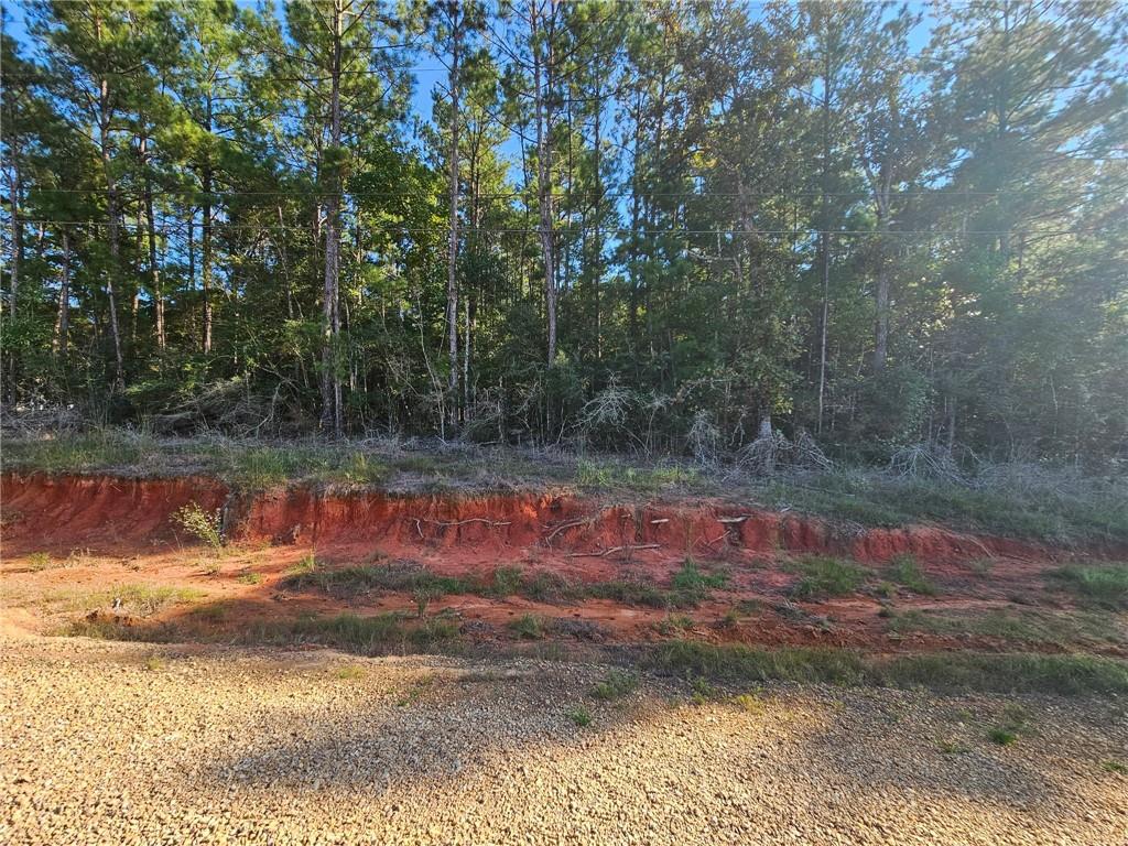 Land for sale at 0 Makinley Loop, Amite, LA 70422 | MLS# 2574719
