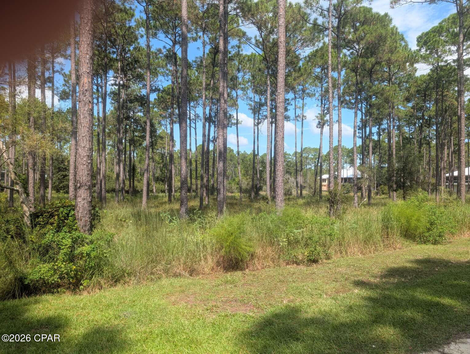 7711 Magnolia Pond Trail, Panama City Beach, FL 32413 thumbnail, photo 4 of 20