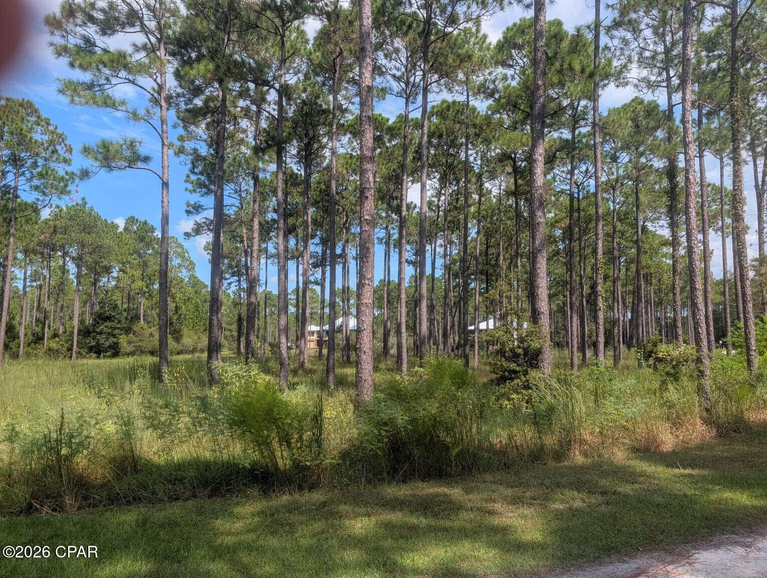 7711 Magnolia Pond Trail, Panama City Beach, FL 32413 thumbnail, photo 5 of 19
