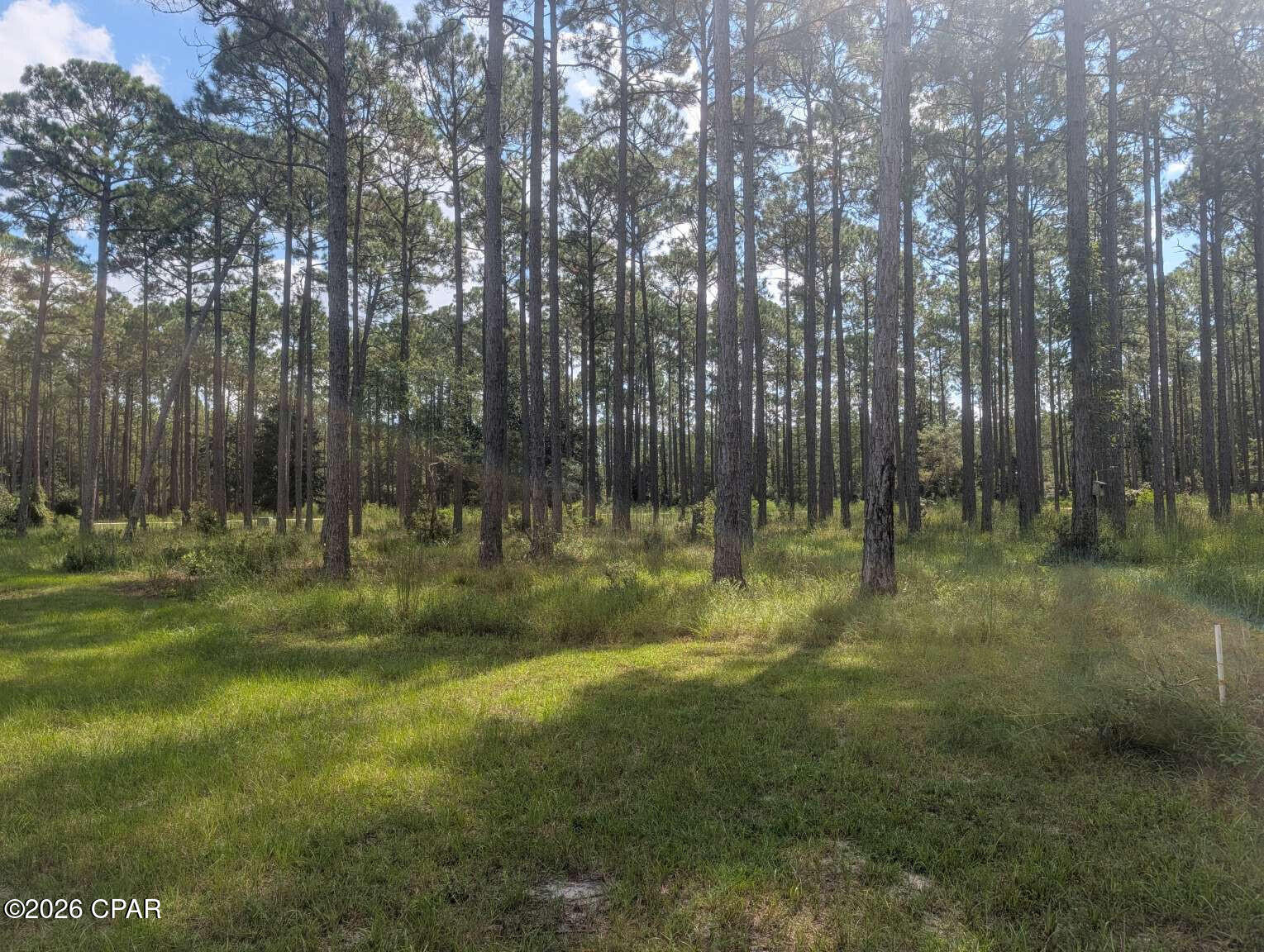 7711 Magnolia Pond Trail, Panama City Beach, FL 32413 thumbnail, photo 6 of 20