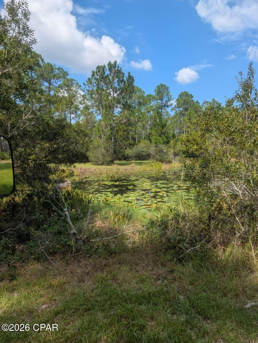 7711 Magnolia Pond Trail, Panama City Beach, FL 32413 thumbnail, photo 8 of 20
