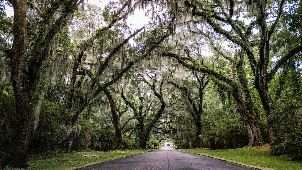 Photo 3 of Land for sale at Cabaniss Ln, Pawleys Island, SC 29585 | MLS# 2623579 | Listing updated on 2026-09-27
