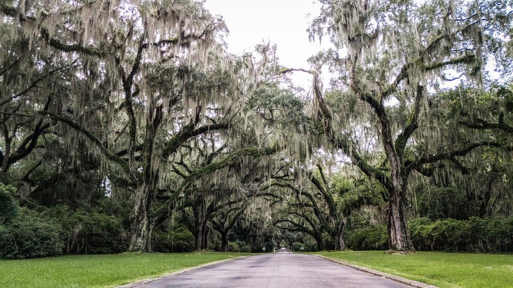 Photo 4 of Land for sale at Cabaniss Ln, Pawleys Island, SC 29585 | MLS# 2623579 | Listing updated on 2026-09-27