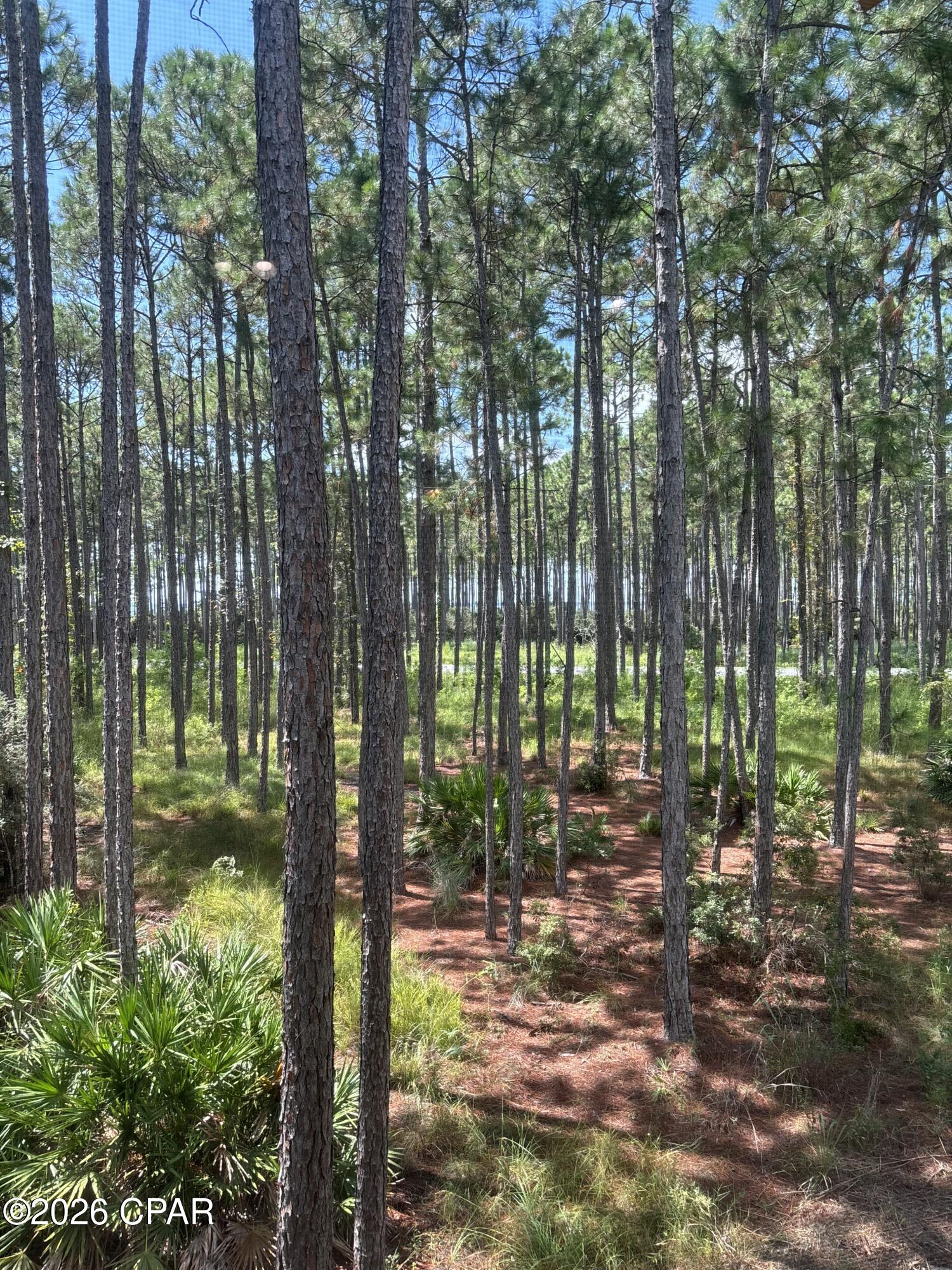 6407 Sawgrass Marsh Lane, Panama City Beach, FL 32413 thumbnail, photo 41 of 92