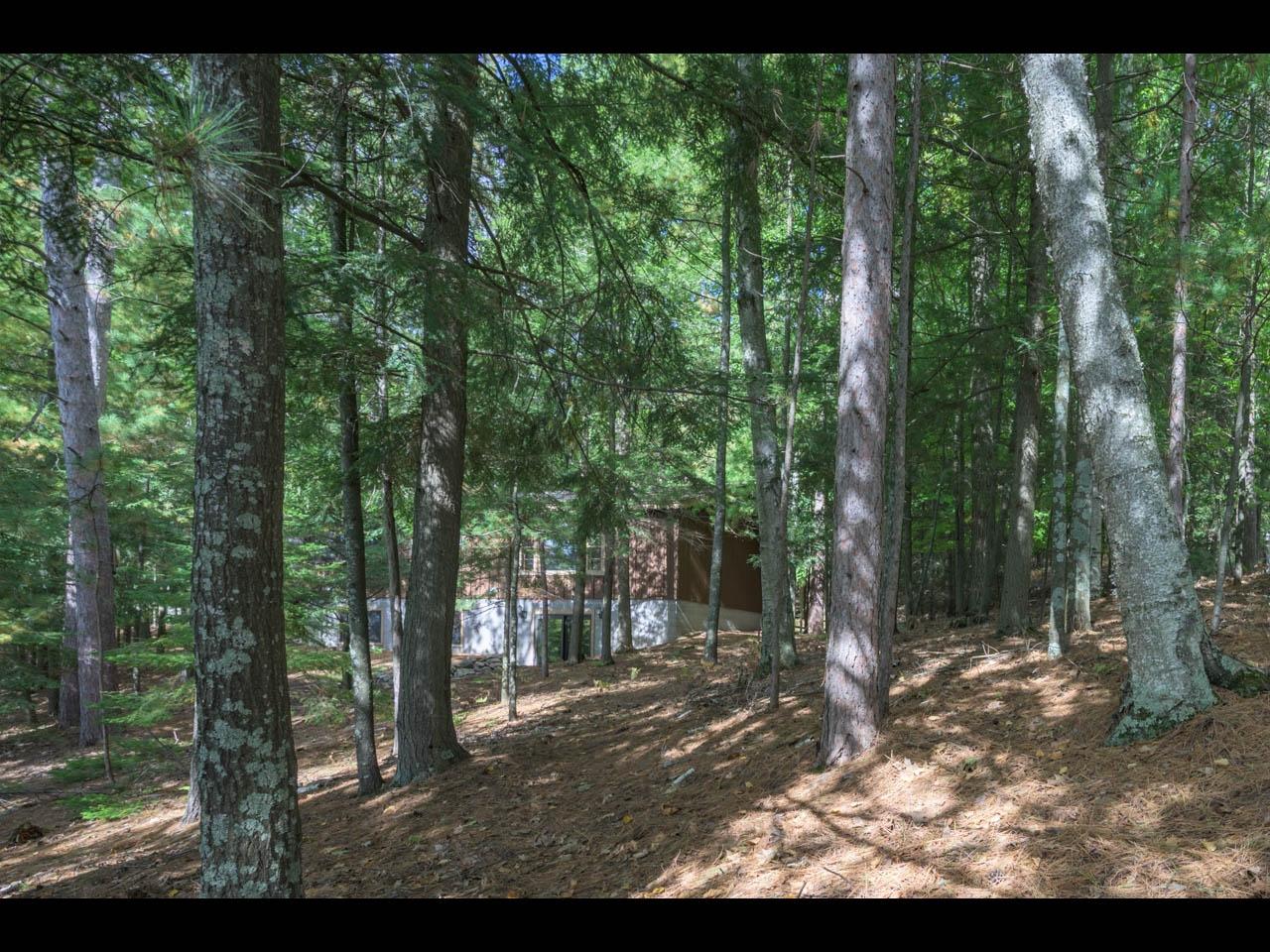 Two Sisters Lake Property 7075 Shore Dr Photo 21