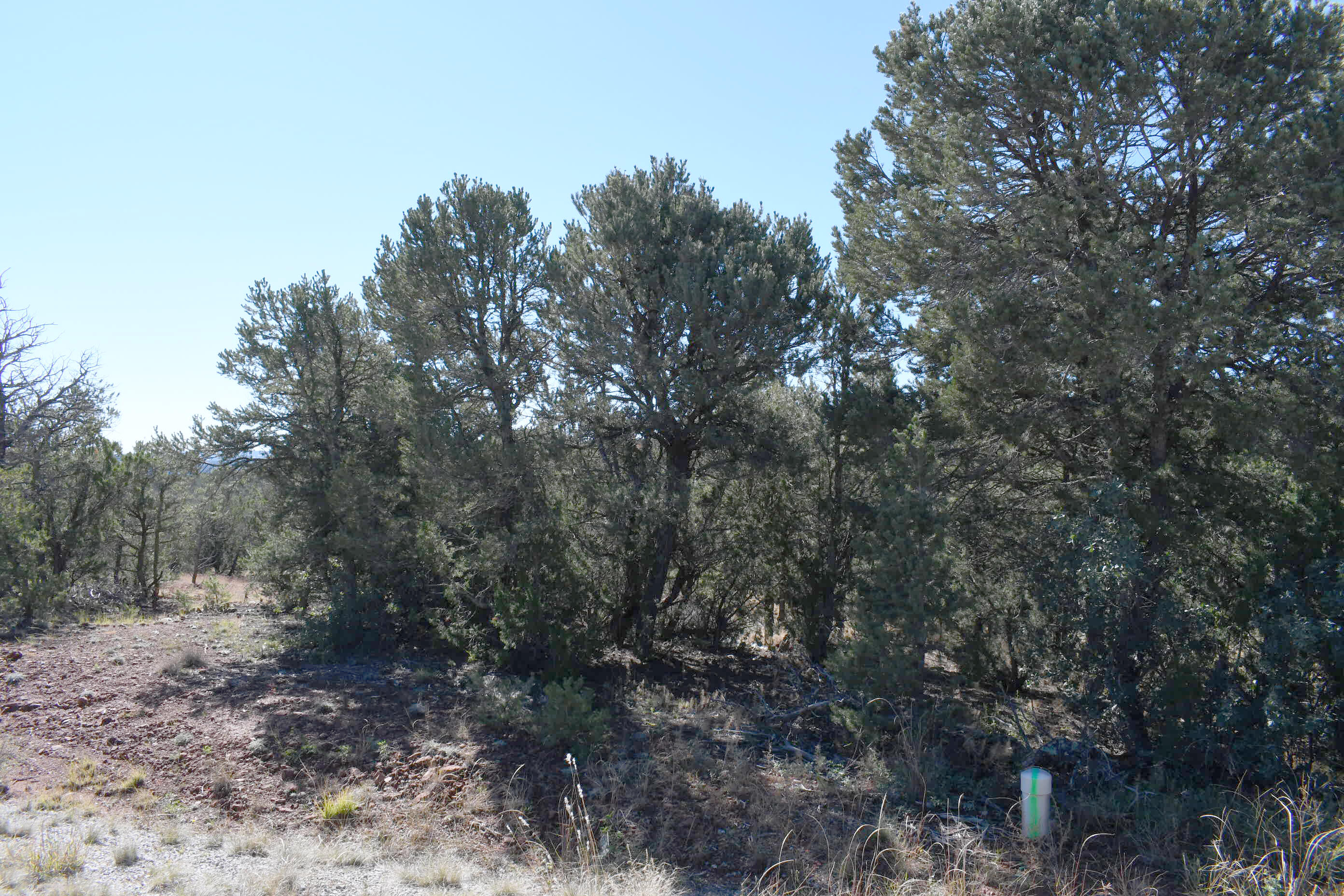 Photo 4 of Land for sale at 4 Anasazi Ct, Sandia Park, NM 87047 | MLS# 1111684 | Listing updated on 2026-09-29