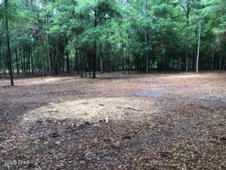 Photo 3 of Land for sale at 4954 Derby Dr, Chipley, FL 32428 | MLS# 796190 | Listing updated on 2026-10-15