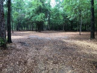 Photo 3 of Land for sale at 4954 Derby Dr, Chipley, FL 32428 | MLS# 796190 | Listing updated on 2026-10-15