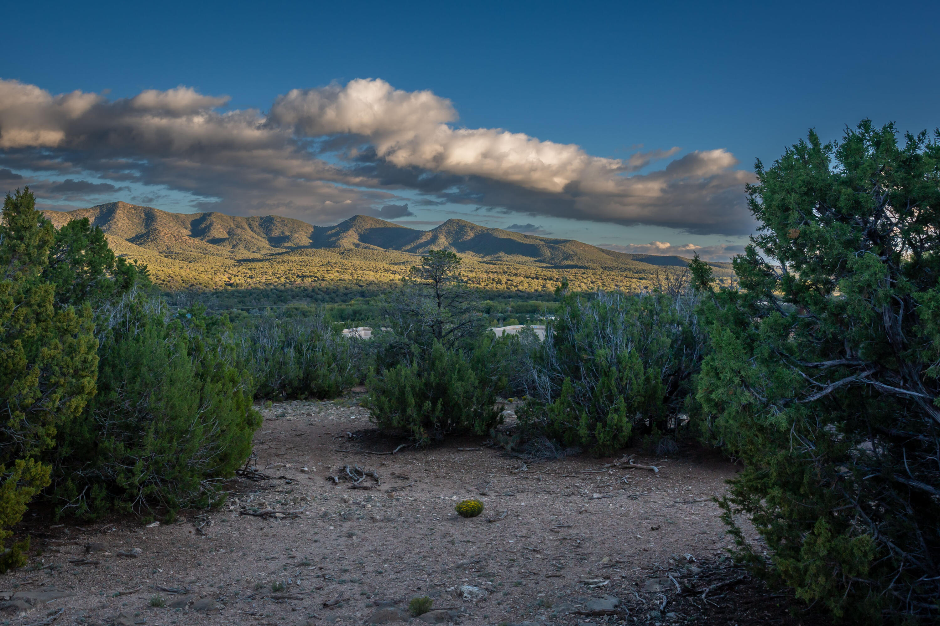 Photo 4 of Land for sale at 7 Corn Dance Ct, Sandia Park, NM 87047 | MLS# 1111937 | Listing updated on 2026-10-03