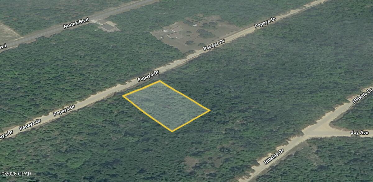 Land for sale at 0 Papaya Dr, Marianna, FL 32448 | MLS# 796351
