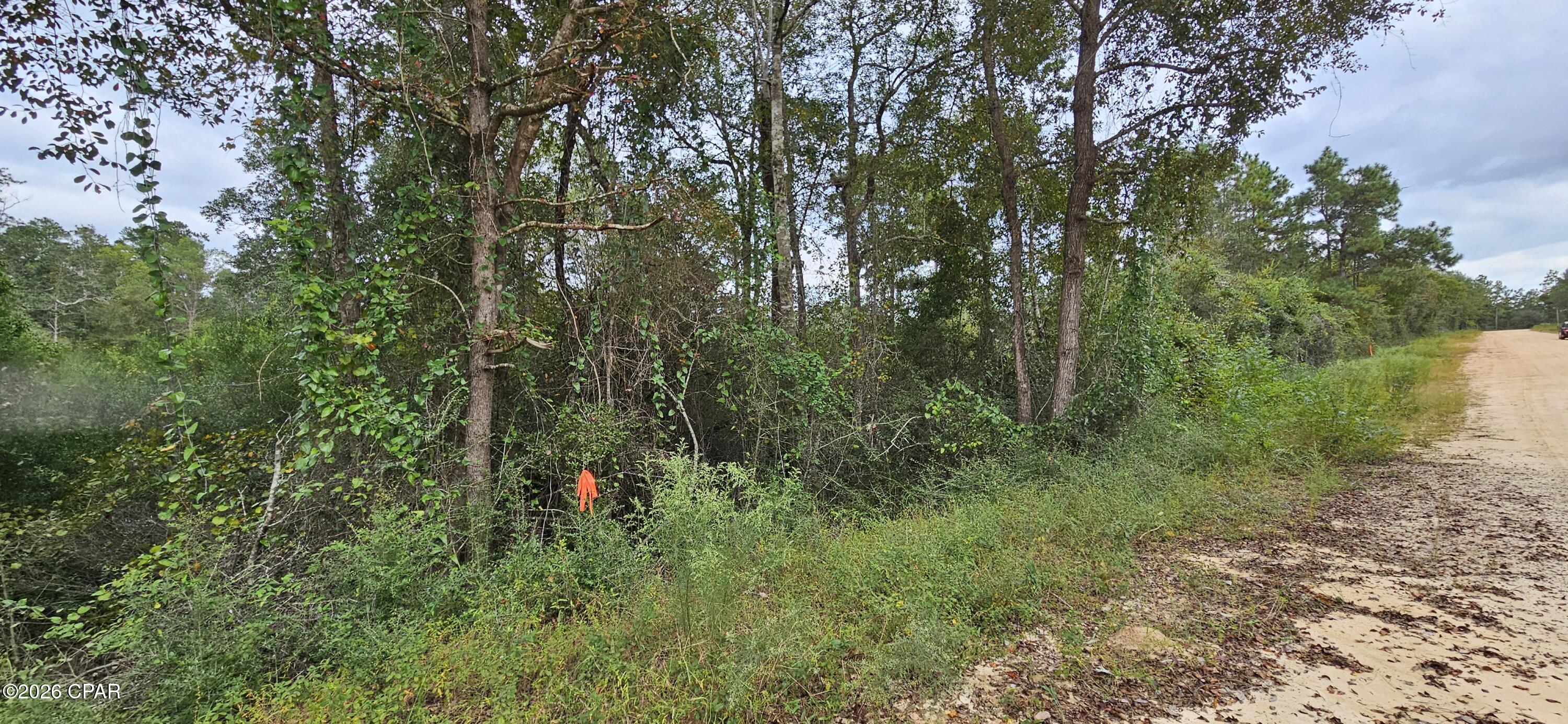 Photo 3 of Land for sale at 0 Papaya Dr, Marianna, FL 32448 | MLS# 796351 | Listing updated on 2026-10-15