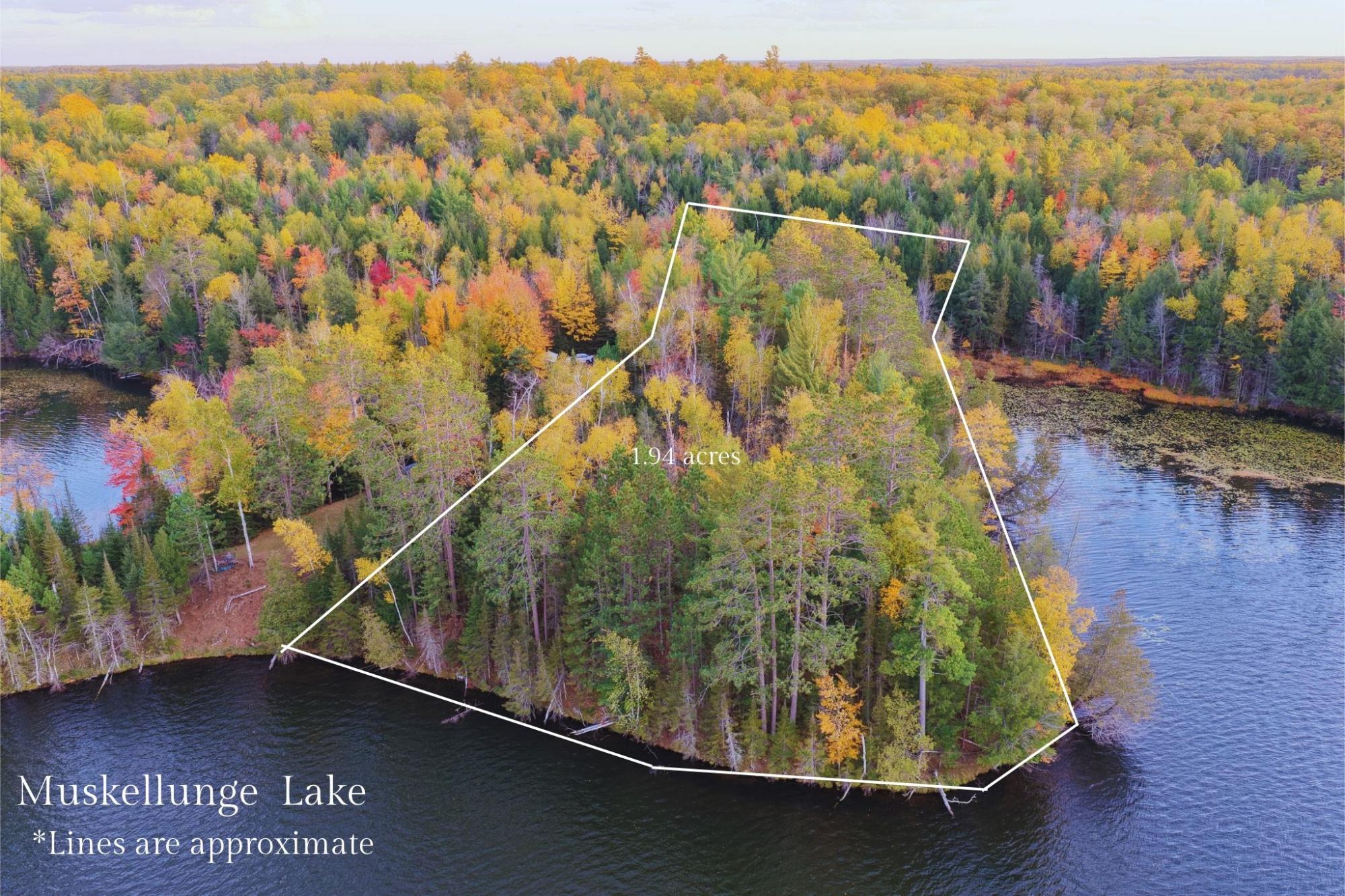 Muskellunge Lake Property NEAR Ridgeway Dr Photo 7