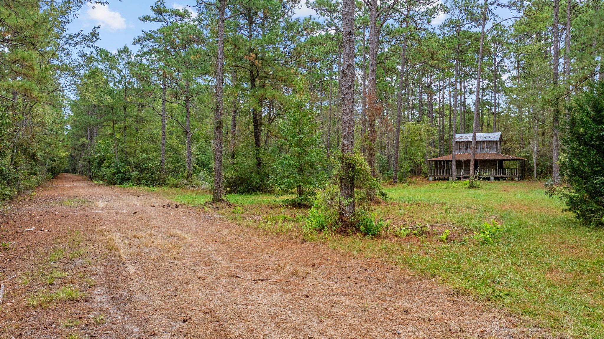 Photo 3 of Land for sale at Tbd River Bnd Rd, Loris, SC 29569 | MLS# 2624710 | Listing updated on 2026-10-08