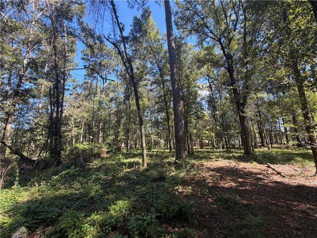 Photo 1 of Land for sale at Strawberry Ln, Hammond, LA 70403 | MLS# 2580840 | Listing updated on 2026-10-08