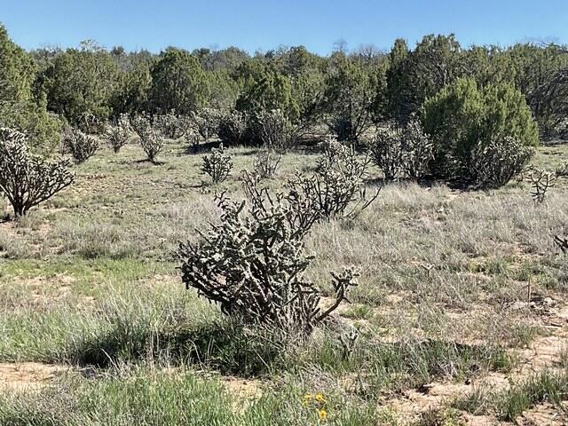 Photo 1 of Land for sale at 65 Las Colinas Rd, Edgewood, NM 87015 | MLS# 1112220 | Listing updated on 2026-10-10