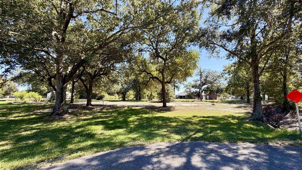 4331 Dorothy Jane Drive