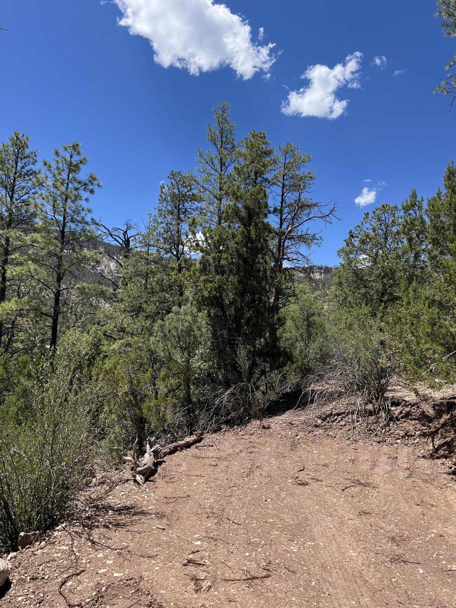 Photo 4 of Land for sale at 1a3 Calle Pinon, Jemez Springs, NM 87025 | MLS# 1112311 | Listing updated on 2026-10-10