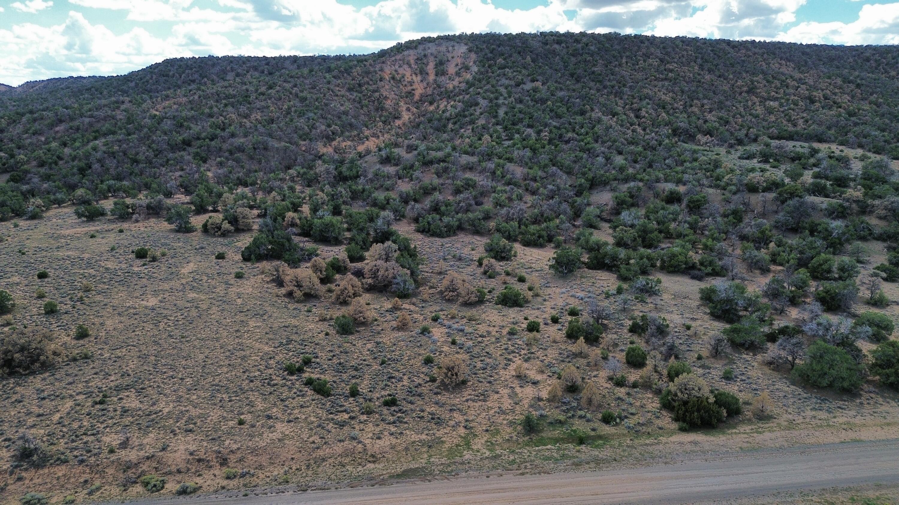 Photo 1 of Land for sale at Lot 1 Nm 603, Pie Town, NM 87827 | MLS# 1112325 | Listing updated on 2026-10-11