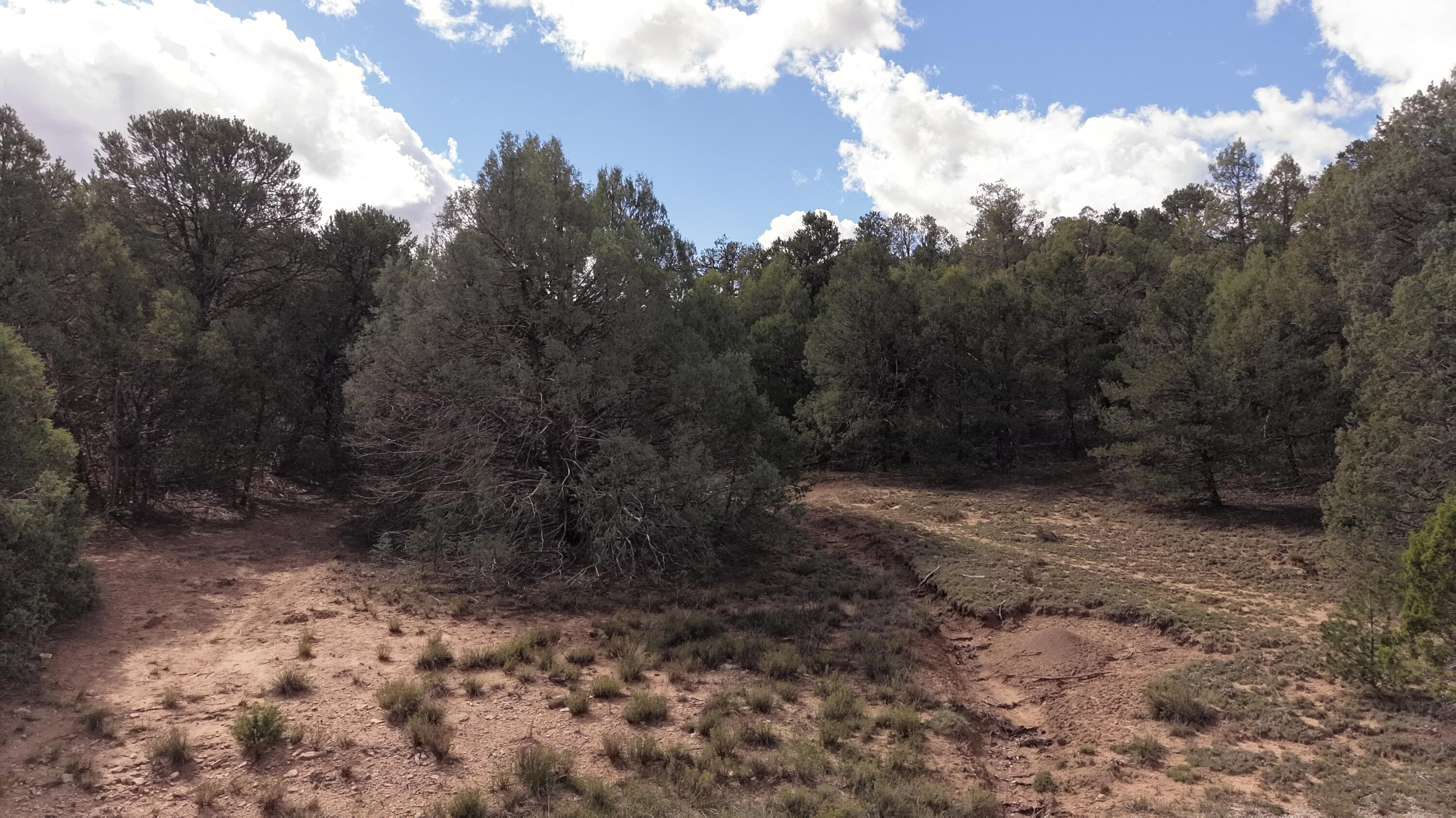 Photo 1 of Land for sale at 14 Los Pecos Lp Loop, Tijeras, NM 87059 | MLS# 1112501 | Listing updated on 2026-10-17