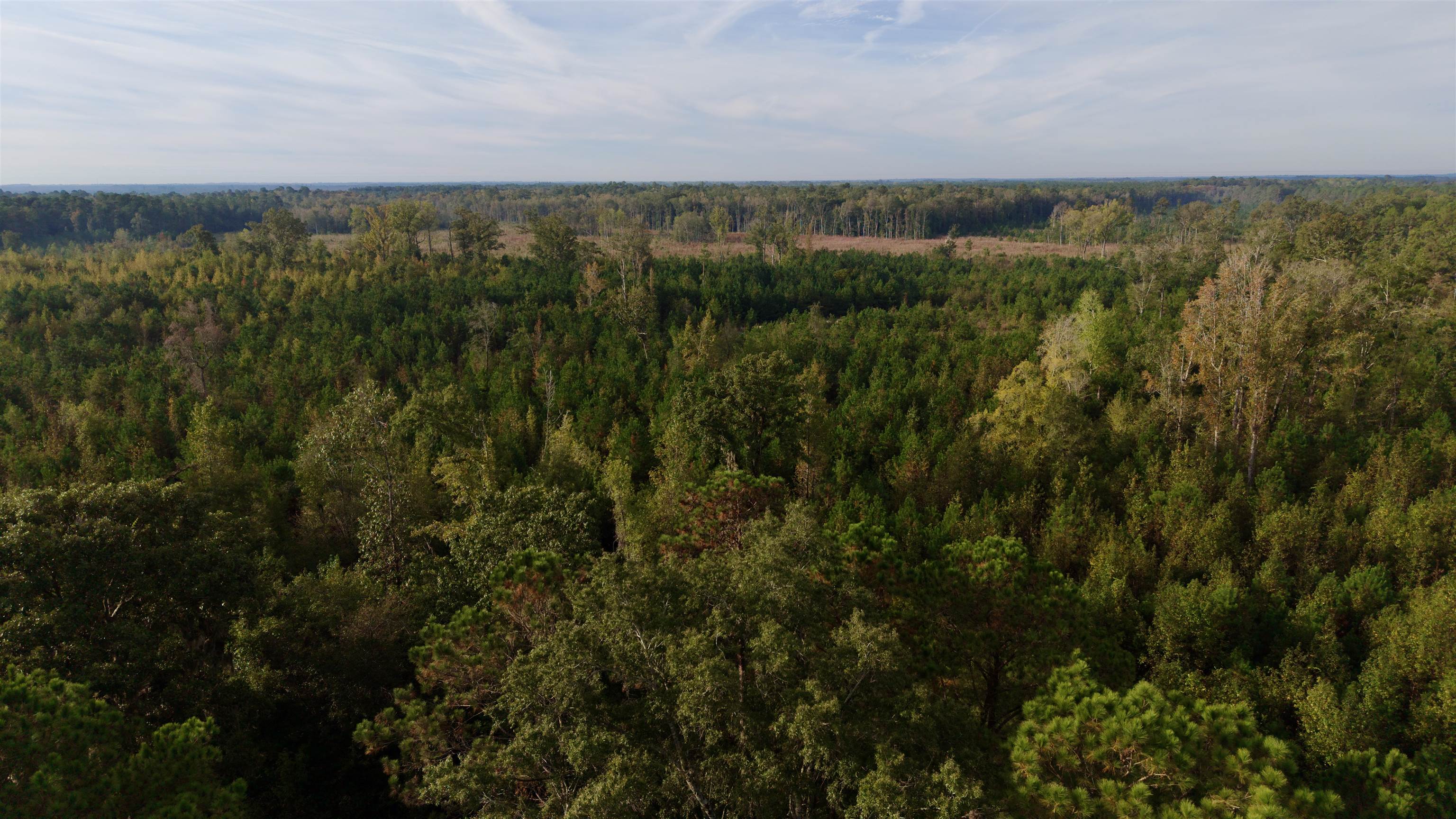 Photo 3 of Sale Pending at Tbd Terrell's Bay Rd, Marion, SC 29571 | MLS# 2625327 | Listing updated on 2026-10-20